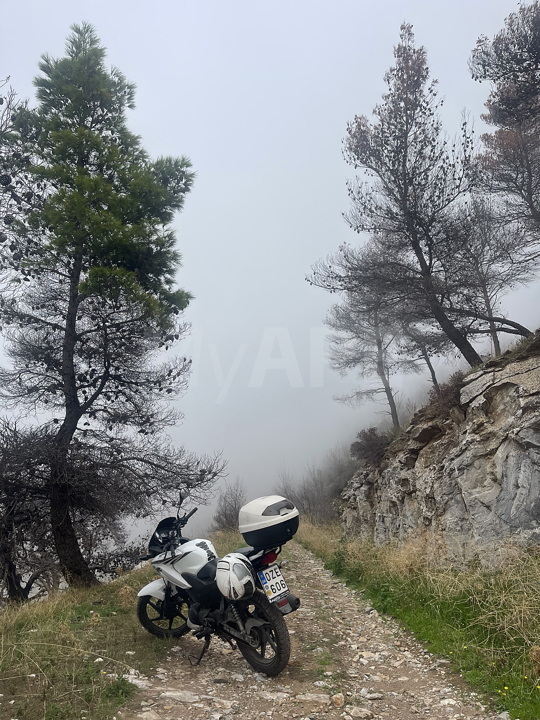 Φωτοβολταϊκά - Εδάφους - 10 MW - Πειραιάς